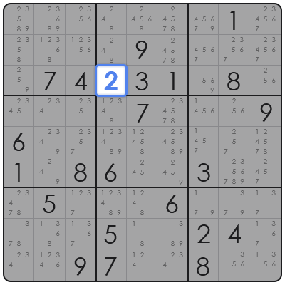 large sudoku book